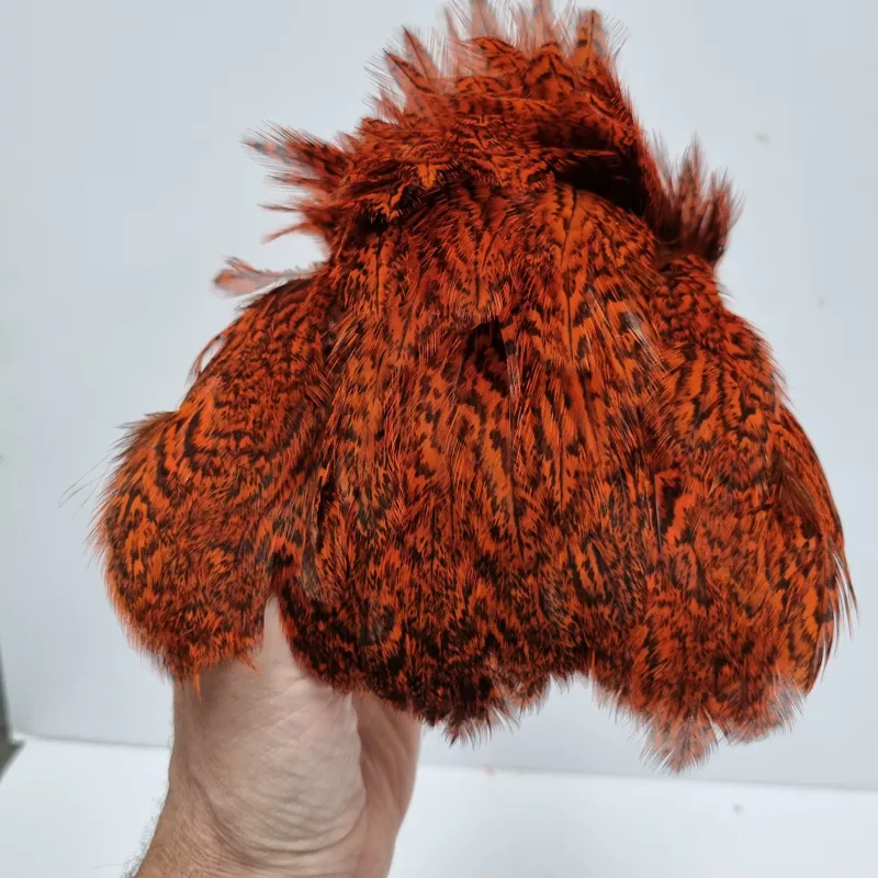 Whiting Coq de Leon Hen Cape in Speckled Orange-7